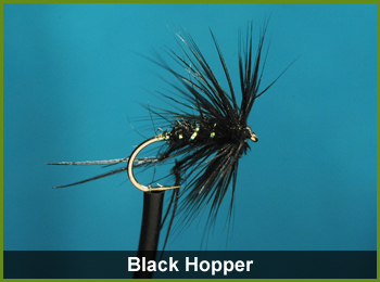Black Hopper Fly - flies for Fishing