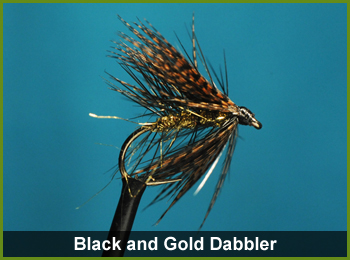 Black and Gold Dabble Fly - flies for Fishing
