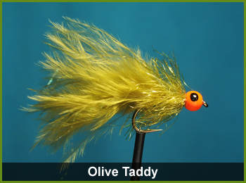 Olive Taddy Fly - flies for Fishing