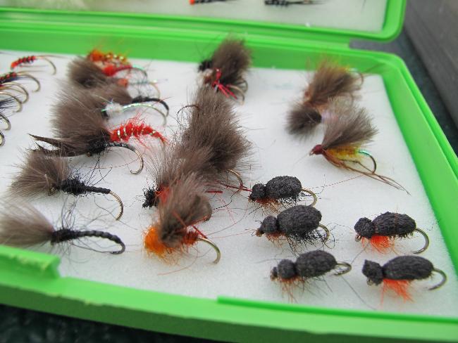 A selection of dries for Clywedog